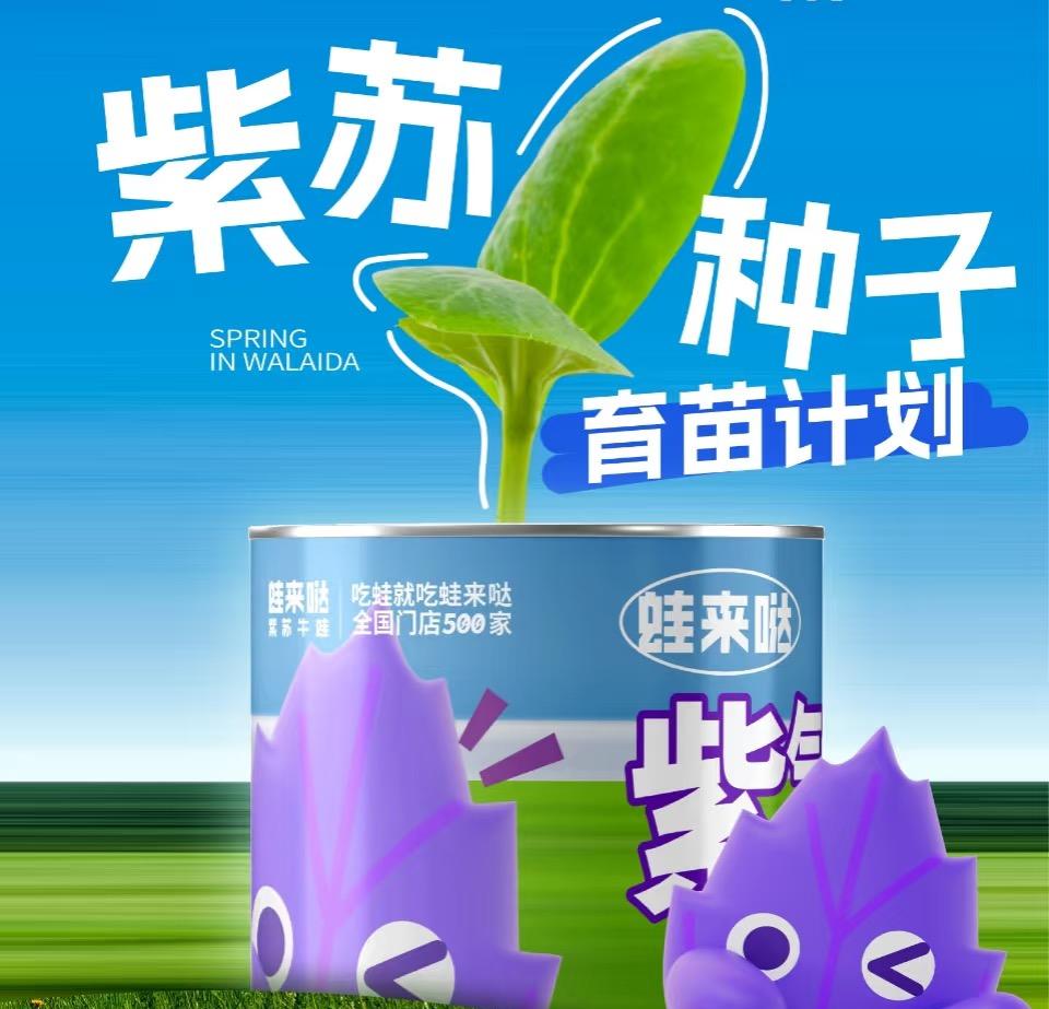 蛙来哒