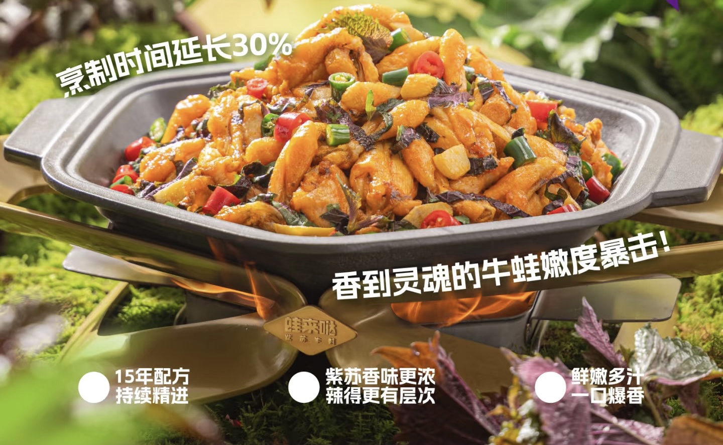 蛙来哒