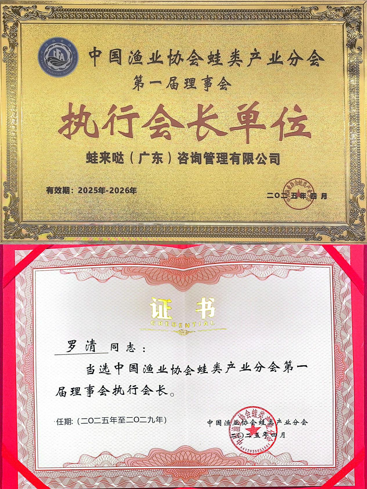 蛙来哒