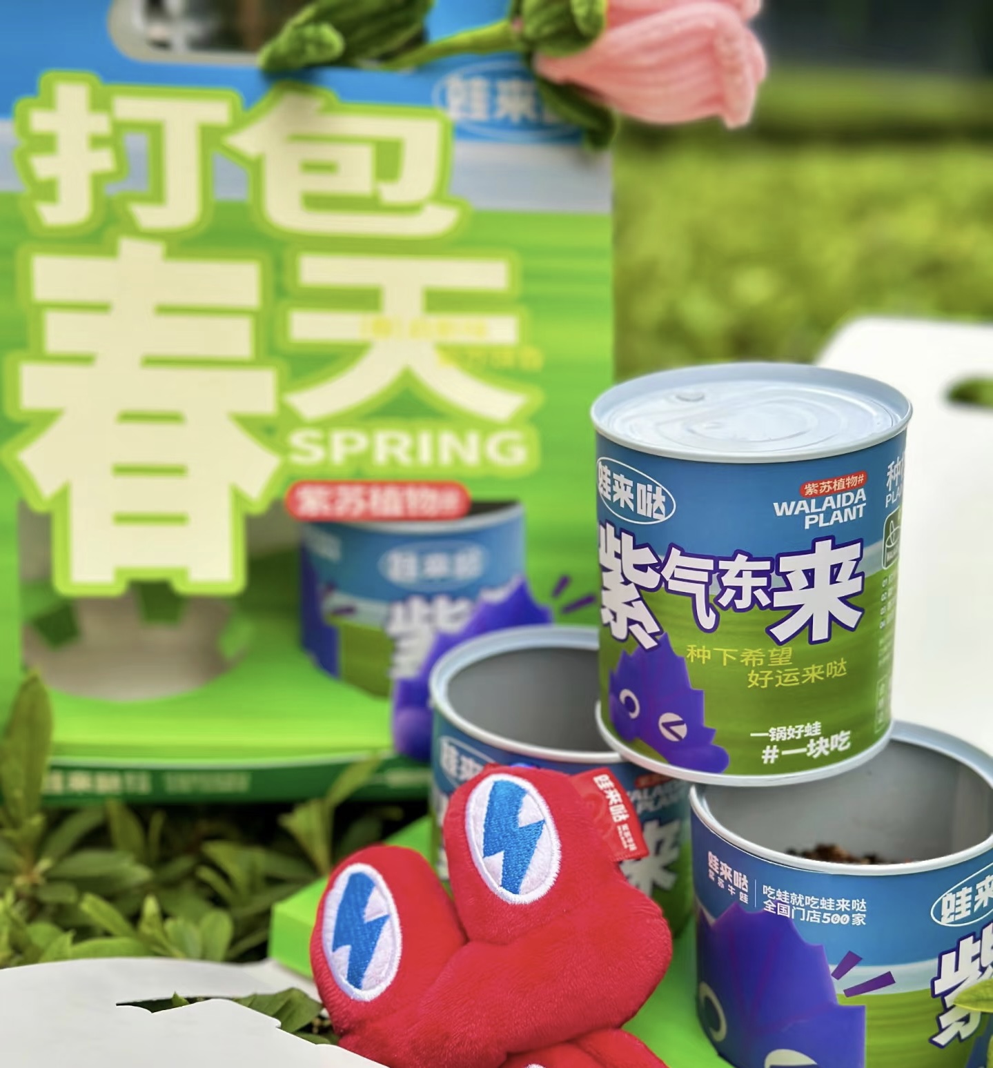 蛙来哒