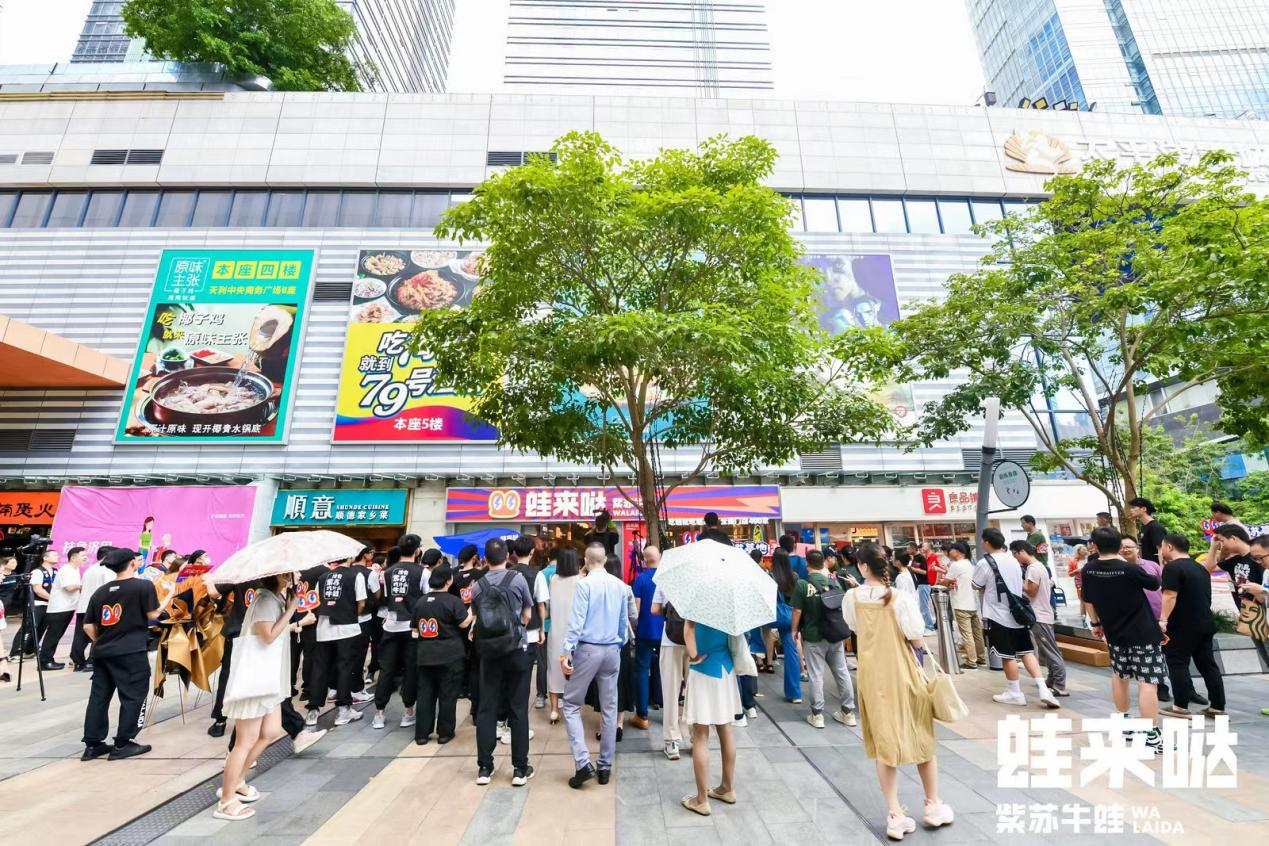 蛙来哒 蛙来哒